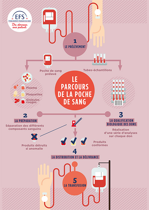 Le parcours d'une poche de sang - 1 