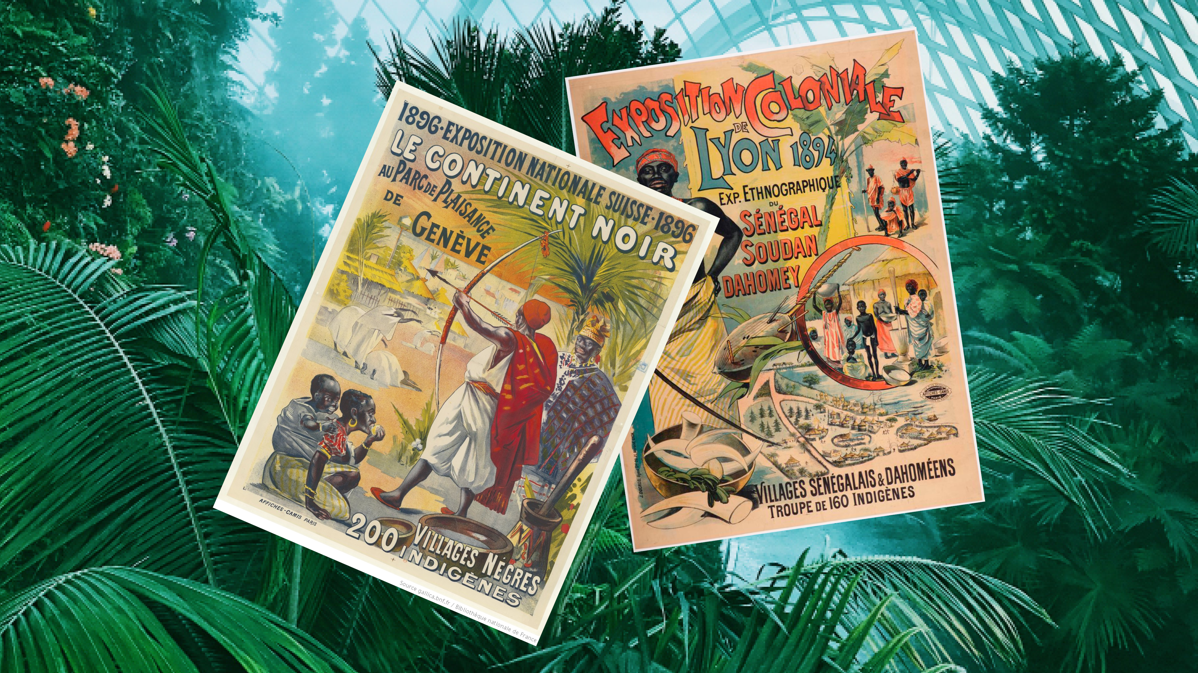 deux affiches sur un fond représentant une serre tropicale. La première affiche est de l’exposition coloniale de Lyon en 1894 et la deuxième est celle de l’exposition coloniale genevoise de 1896.